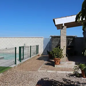 Mirlo Conil De La Frontera